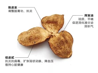 第二章：陈皮