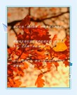 8月12号文案 | 秋天的温暖祝福，愿你幸福常伴