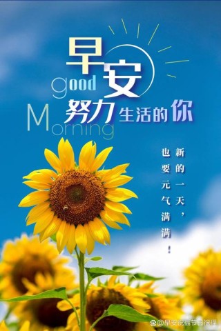 2024年最新早安心语正能量经典语录，迎接新一年的挑战！