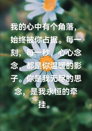 你是我今生永远的牵挂