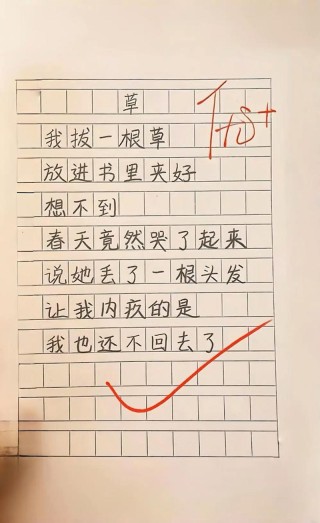 小青草的话