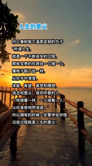 经典语录感悟人生，经典语录，感悟人生之旅