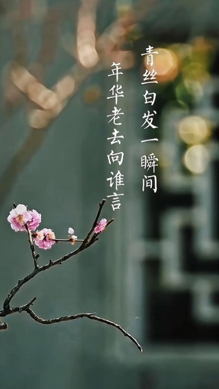 时光飞逝，佳人依旧