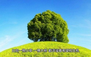 在心中，开一扇晴窗