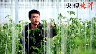 极目快评｜浪潮集团花式“加班标语”让人惊呆，加班真好？违法就不太好了吧