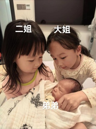 姐姐抱弟弟的温馨瞬间：家庭爱的传承与网友的热议