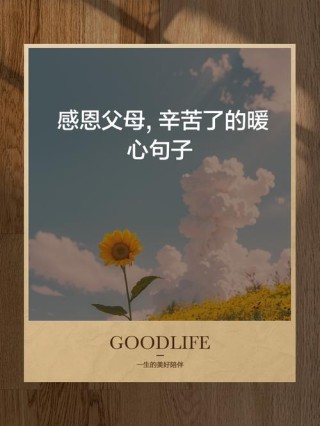感恩父母最朴实的句子，感恩父母，心怀朴实之情。