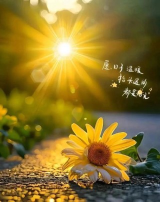 每一个清晨，伴着阳光上路，清新的空气纯净着灵魂，早安！