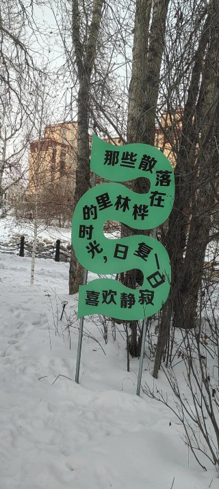 漫步林中，静听风吟，忆往昔