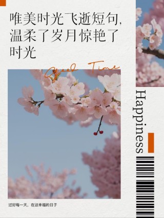 你陪我惊艳时光，我随你温柔岁月
