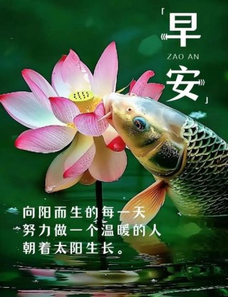 每一个清晨，给自己一个鼓励