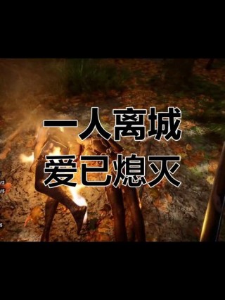爱如烈火，终成灰烬：我的放下之旅