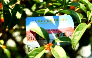 浙江工商职业技术学院各专业在河北招生人数、录取分数线2026（附：招生计划表）