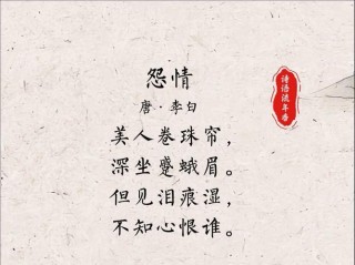 天不老，情难绝，一纸相思染泪痕