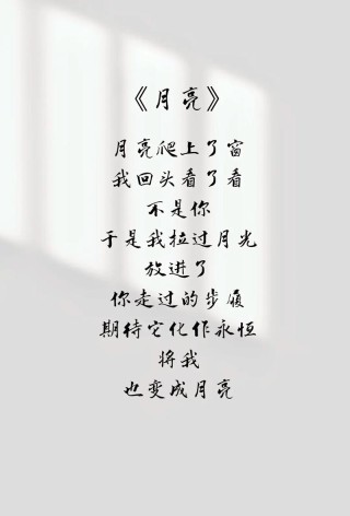 当我老了，我依旧在黑暗里寻找着白色的月光……