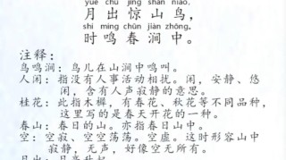 啾啾的鸟鸣，婉转动听，可我看不到你的脸