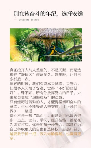 别在最吃苦的年龄选择了潇洒