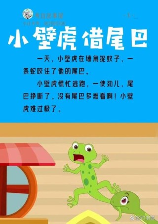 壁虎的故事