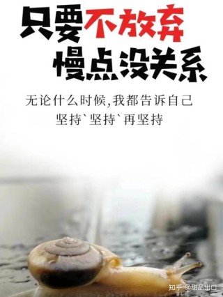 很适合配音的文案，关于放慢脚步的唯美语录