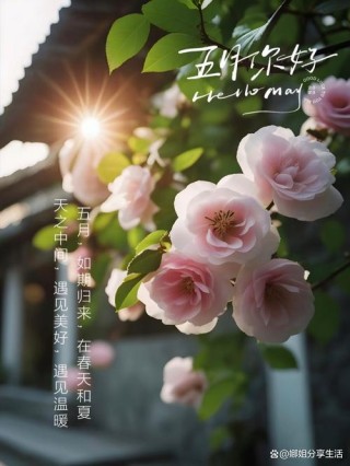 迎接五月的文案 | 清新美好，温柔治愈