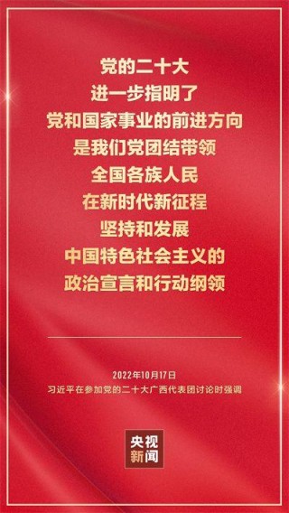 二十大金句积累