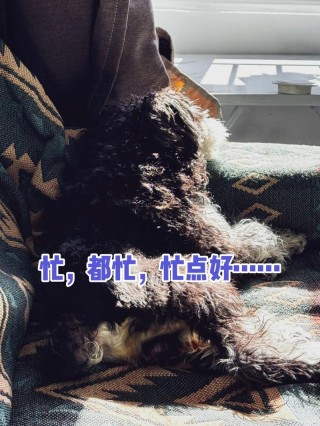 忙耶？闲耶？
