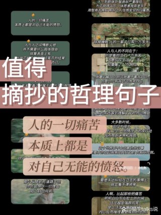 哲理短句10字以内，人生哲理简短句，生活即智慧。