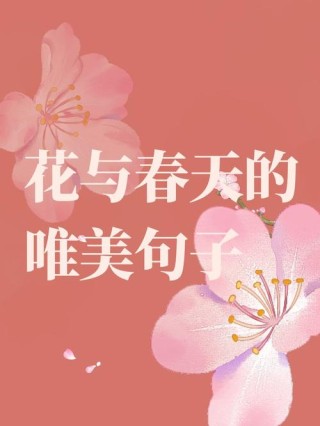 繁花似锦的优美句子，让你拥一份静美时光