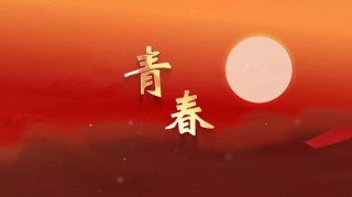 空白的青春