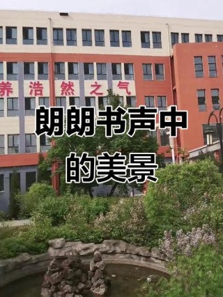 假日清晨，又闻朗朗读书声，如诗如画