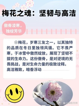 「泣血整理」这些年那些经典的梅吹语录