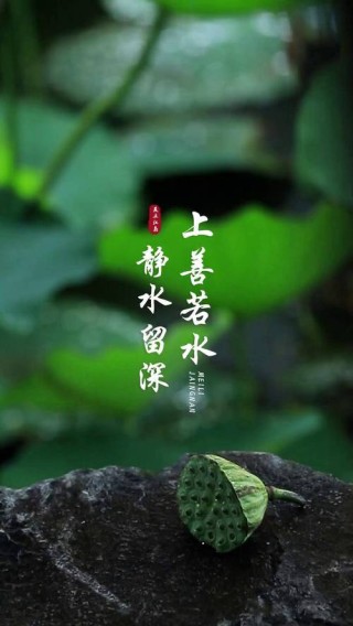 好室拆臭市渺若争拇籽缕怪柳