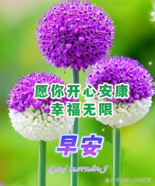 道一声珍重