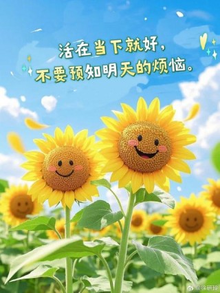 遇见阳光，照亮心灵，让我们在生活中绽放出最美的光芒