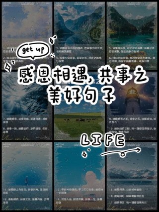 感恩岁月，感谢美好相遇