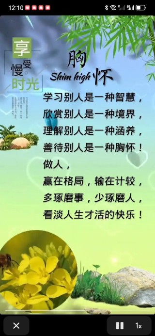 人生感悟人生哲理语录，人生感悟与哲理，生活的智慧之语
