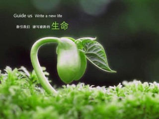 生命的方向