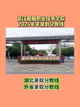 2025武汉船舶职业技术学院录取分数线（在各省录取最低分是多少）