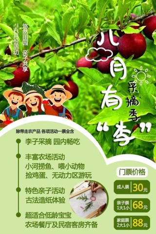 这个农场有点好玩！齐鲁晚报小记者走进五十一号农场“撒欢儿”