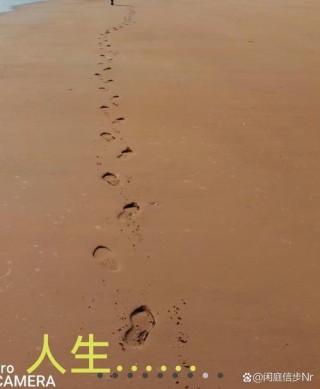 各有各的活法，一人一串脚印