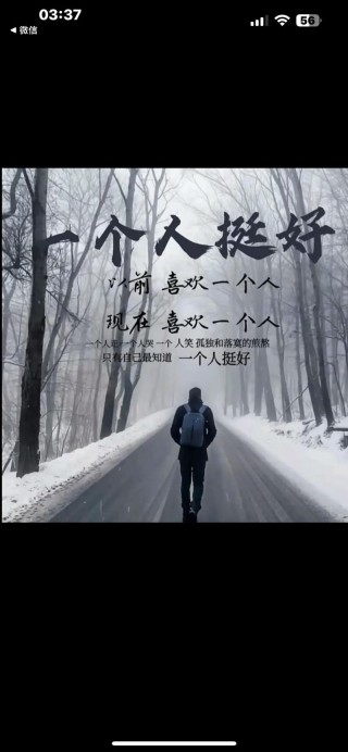 习惯了一个人