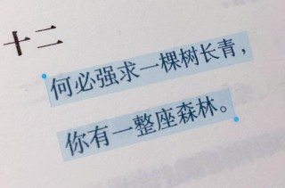 满腔热血的励志句子，寻找一棵大树好乘凉，不如自栽自养自乘凉