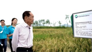稻香万里济众生：袁隆平的这20句话，饱含着他的毕生追求和梦想