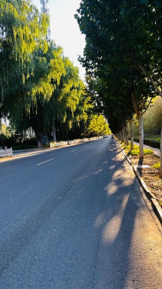 清新的早晨