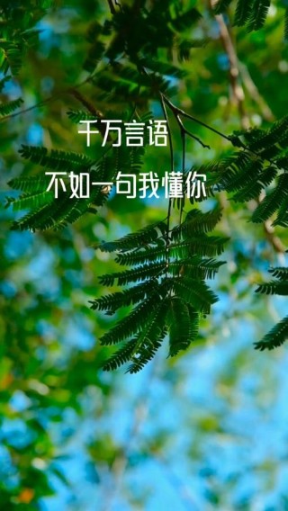 懂你