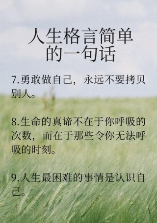 关于人生的名言，人生的智慧箴言