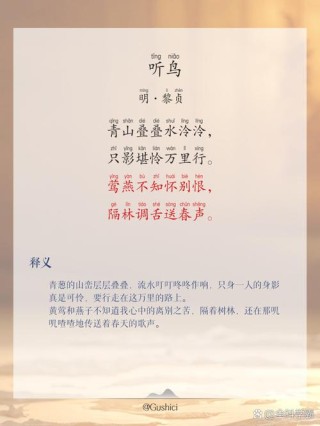 原创诗歌：受伤的鸟——为音乐《受伤的鸟》而写