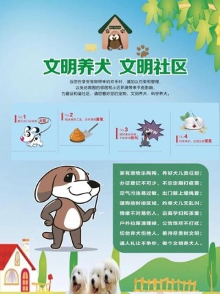 关于养宠物的朋友圈文案
