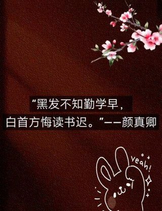 儿子能够出国留学，与其说他聪明，倒不如说是他的勤奋