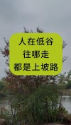 好走的都是下坡路